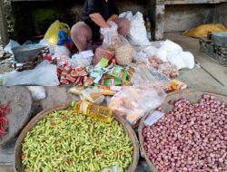 Harga Cabai Anjlok di Pati, Petani Merugi Meski Konsumen Senang