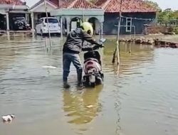 Banjir Rob Kembali Melanda Desa Karang Geneng Akibatkan Aktivitas Warga Terganggu