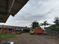 UD Berkah Ilahi Jaga Kualitas Kayu Glugu untuk Penuhi Kebutuhan Konstruksi